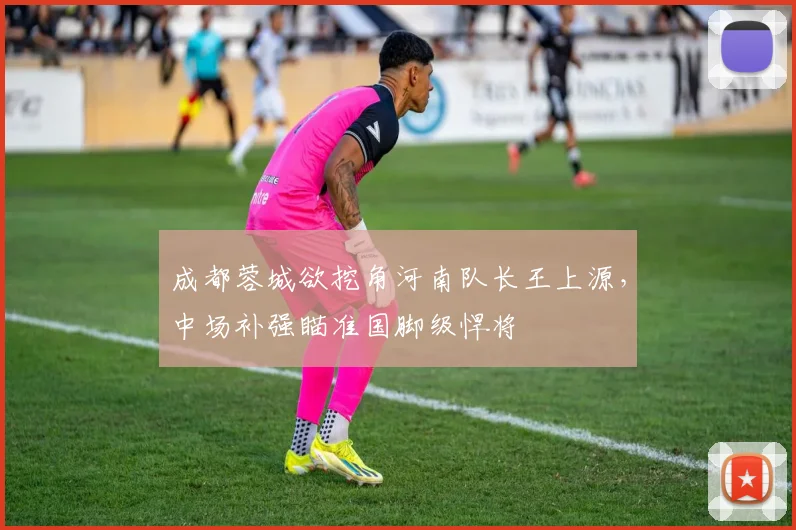 成都蓉城欲挖角河南队长王上源，中场补强瞄准国脚级悍将